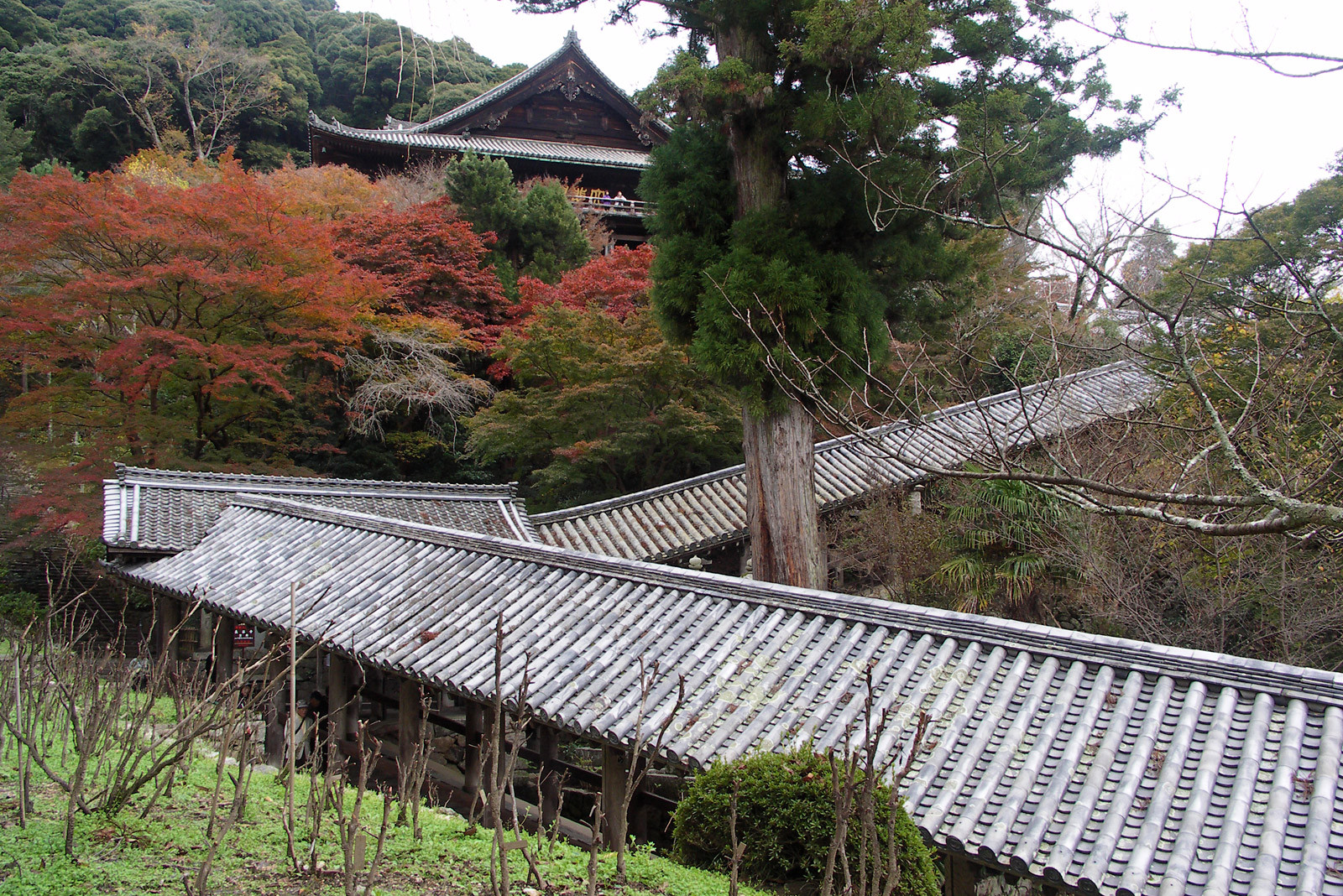 奈良の旅～長谷寺