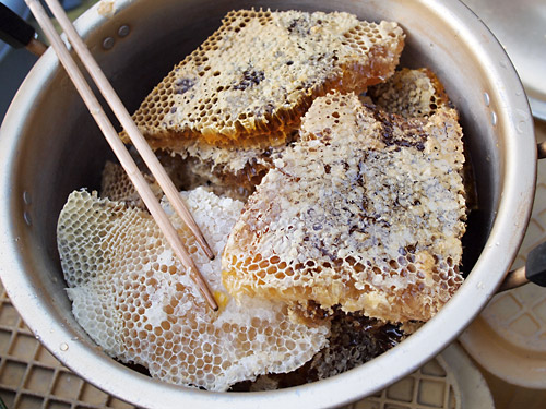 日本みつばちの蜂蜜採取