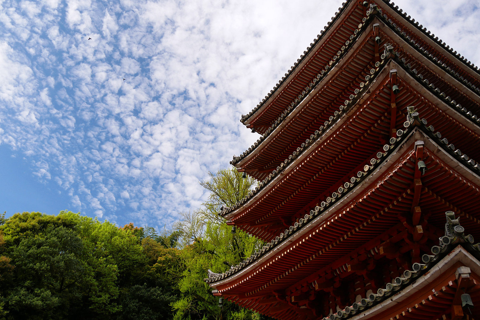 明王院
